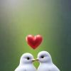 text